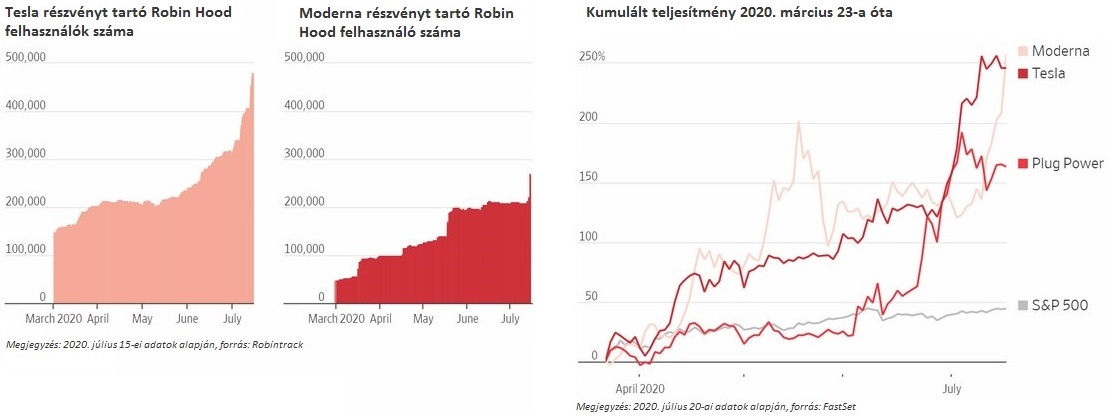 Robin Hood befektetőkről néhány érdekes ábra ami azt mutatja mennyire megugrott egy-két technológiai részvényben a részesedésük.